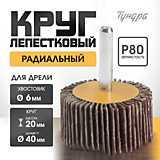 Круг лепестковый радиальный 40х20х6мм P80 TUNDRA 5162353 Круг лепестковый радиальный 40х20х6мм P80 TUNDRA 5162353