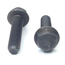 RIPP 88913 Болты с рифленым фланцем cl. 100
