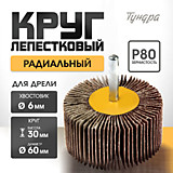 Круг лепестковый радиальный 60х30х6мм P80 TUNDRA 1875467 Круг лепестковый радиальный 60х30х6мм P80 TUNDRA 1875467